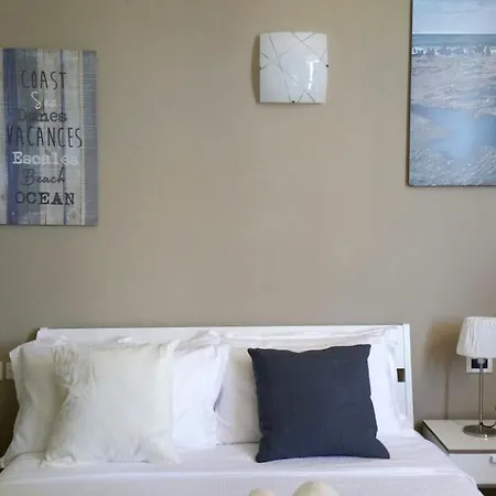 Luna 招待所 萨沃纳